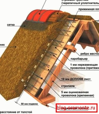 Usporiadanie strešného zariadenia rákosu