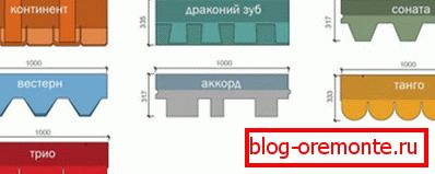Tvar šupky