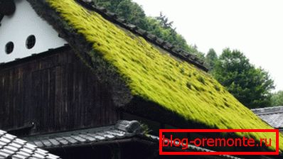 Tradičné nórskych strieborných striech