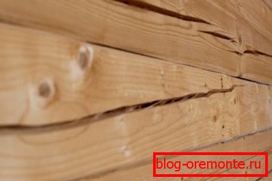Hlboké praskliny sú jasne viditeľné na fotografii - výsledkom sušenia stromov